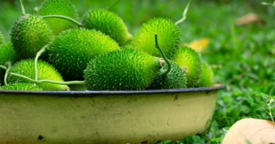 কাঁকরোল খাবেন যে ৫ কারণে