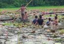 কাপাসিয়ায় শাপলা দেখতে গিয়ে নৌকাডুবে দুই বন্ধুর মৃত্যু