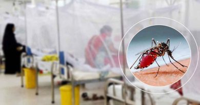 একদিনে ডেঙ্গুতে ৬ মৃত্যু, হাসপাতালে ভর্তি ৬৪৭
