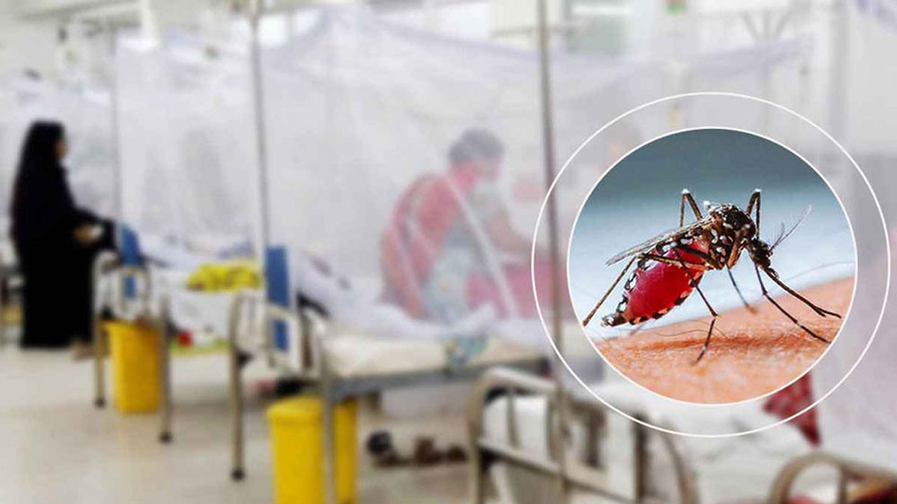 একদিনে ডেঙ্গুতে ৬ মৃত্যু, হাসপাতালে ভর্তি ৬৪৭